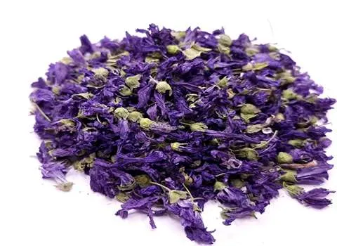 گیاه دارویی گل ختمی آشنایی صفر تا صد قیمت خرید عمده