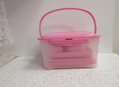 راهنمای خرید ظروف یکبار مصرف پیک نیک با شرایط ویژه و قیمت استثنایی