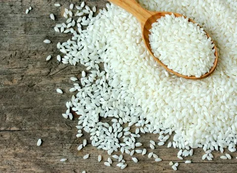 برنج چمپا شوشتر همراه با توضیحات کامل و آشنایی