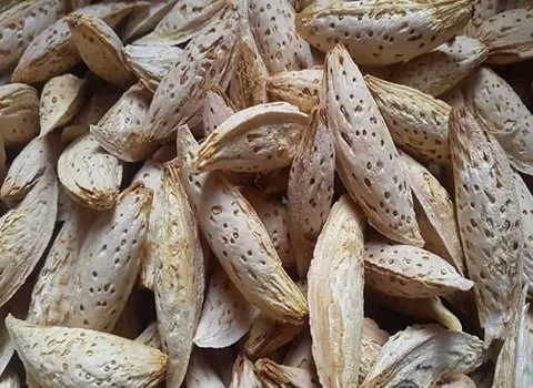 لیست قیمت بادام ستار بابایی به صورت عمده و با صرفه