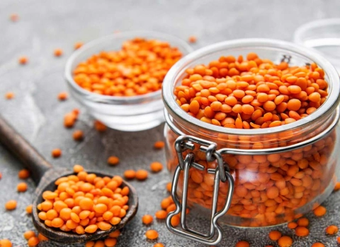 عدس دال قرمز همراه با توضیحات کامل و آشنایی