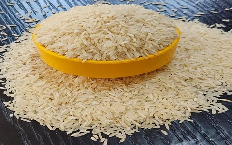 برنج محلی شیراز همراه با توضیحات کامل و آشنایی