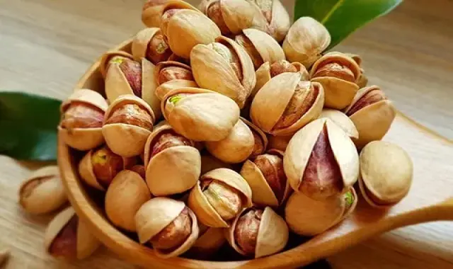 پسته مرغوب ایرانی آشنایی صفر تا صد قیمت خرید عمده