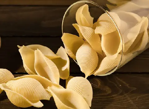 لیست قیمت ماکارونی فرمی صدفی بزرگ به صورت عمده و با صرفه