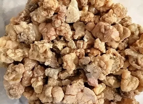 لیست قیمت آنغوزه تند طبس به صورت عمده و با صرفه