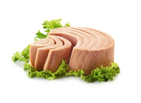 قیمت و خرید تن ماهی قزل آلا  با مشخصات کامل