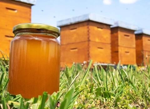 قیمت خرید عمده عسل ارگانیک چند گیاه ارزان و مناسب