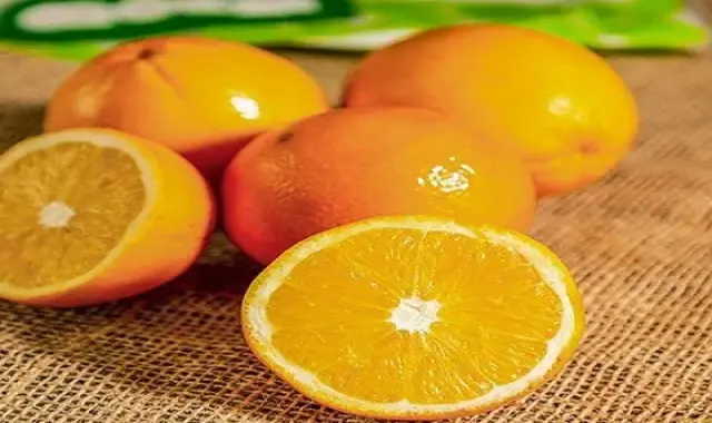 خرید پرتقال تامسون بزرگ بهترین شرایط