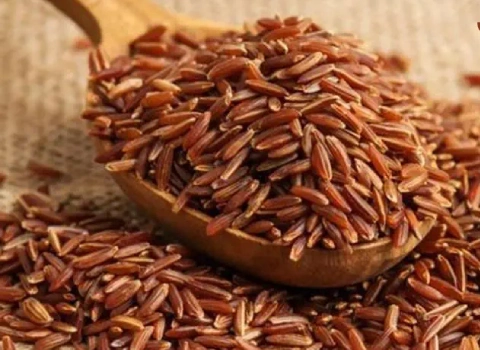 آموزش خرید برنج قهوه ای مازندران صفر تا صد