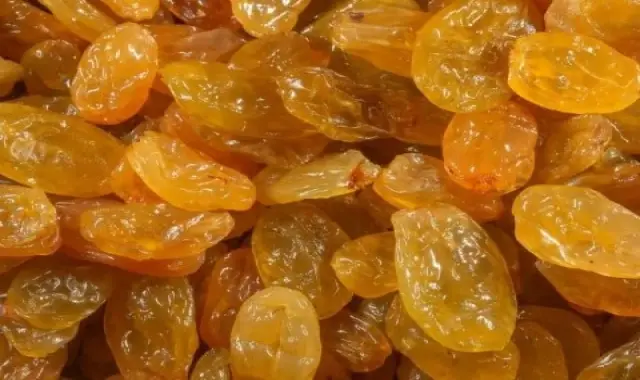 خرید عمده کشمش تیزابی خرمایی با بهترین شرایط