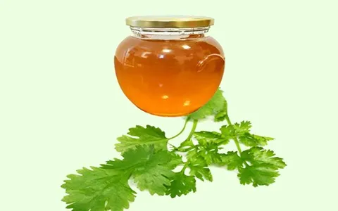 عسل گشنیز نهاوند همراه با توضیحات کامل و آشنایی