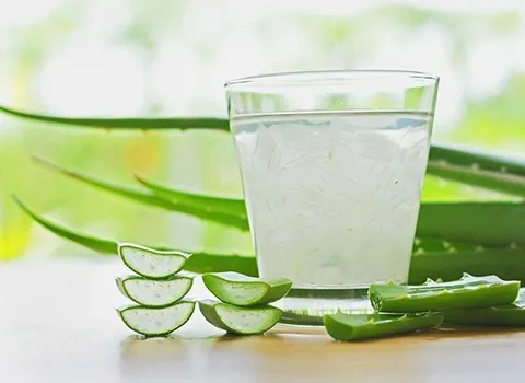 ژل آلوئه ورا طبیعی همراه با توضیحات کامل و آشنایی