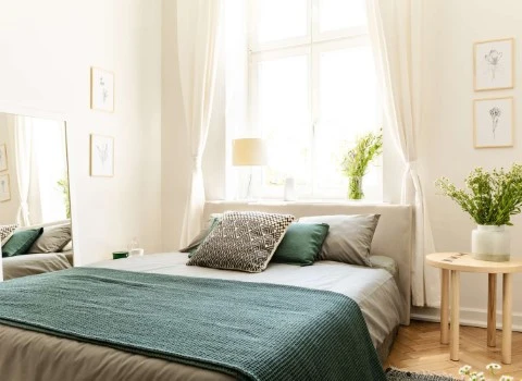 خرید کالای خواب سارو | فروش با قیمت مناسب