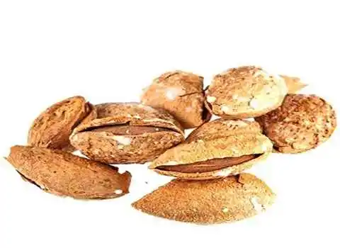 خرید عمده بادام درختی شور با بهترین شرایط