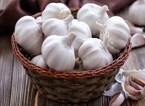 قیمت خرید سیر همدان درجه یک + تست کیفیت