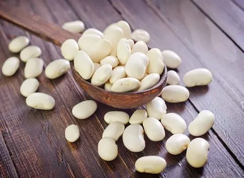 معرفی لوبیا سفید درشت + بهترین قیمت خرید