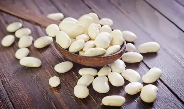 معرفی لوبیا سفید درشت + بهترین قیمت خرید
