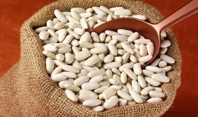 قیمت خرید لوبیا سفید درشت ارومیه در تهران شیراز مشهد تبریز