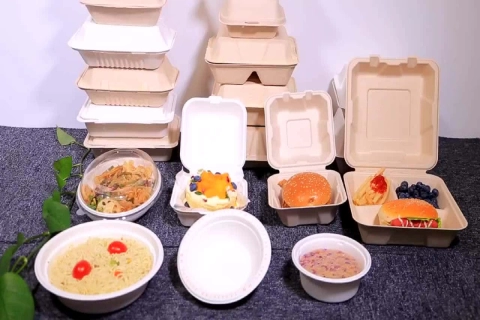 ظرف یکبار مصرف چهارخانه؛ پلاستیکی آلمینیومی فومی گیاهی رنگ شفاف