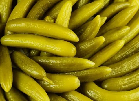 خرید باکیفیت ترین انواع خیارشور با قیمت ارزان