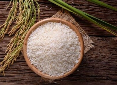خرید برنج هاشمی کشت دوم با قیمت استثنائی