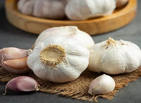 قیمت سیر سفید کیلویی از تولید به مصرف