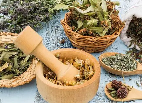 گیاهان دارویی اردبیل + قیمت خرید، کاربرد، مصارف و خواص