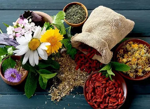 قیمت خرید گیاهان دارویی فارس از تولید به مصرف به صورت عمده  و بسته بندی