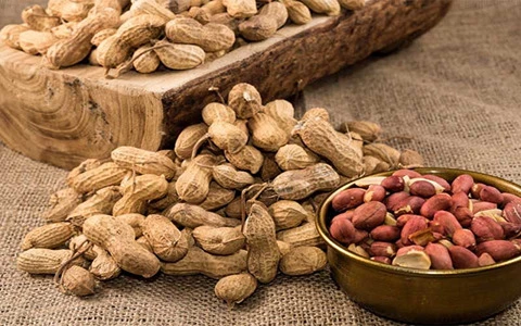 قیمت بادام زمینی ایرانی با کیفیت اعلا در طعم های مختلف