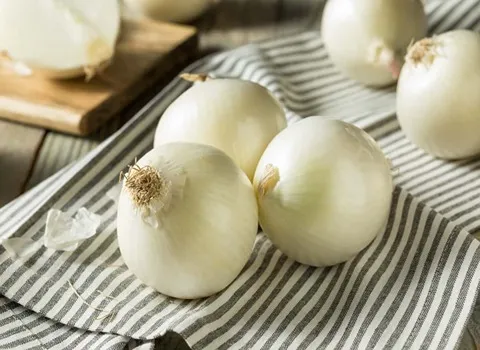 بهترین قیمت خرید پیاز سفید صدفی در همه جا تهران شیراز مشهد اصفهان