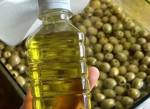 خرید روغن زیتون بکر رودبار با قیمت استثنایی