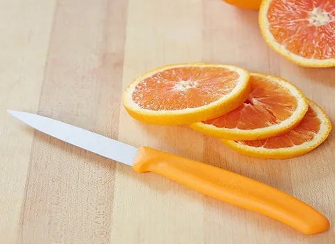 خرید چاقوی میوه خوری زنجان + قیمت عالی با کیفیت تضمینی