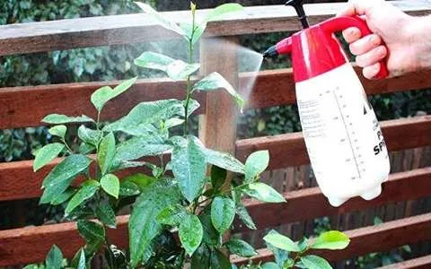 قیمت کود ارگانیک mog