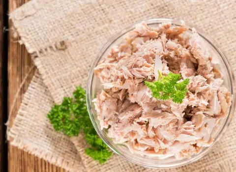 معرفی تن ماهی در بازار تهران + بهترین قیمت خرید