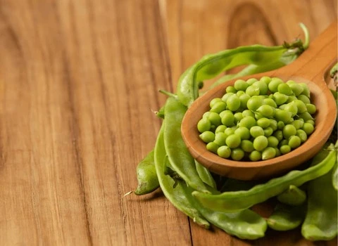 کنسرو نخود فرنگی با سرکه؛ سبز شیرین ویتامین مواد معدنی پروتئین Vinegar