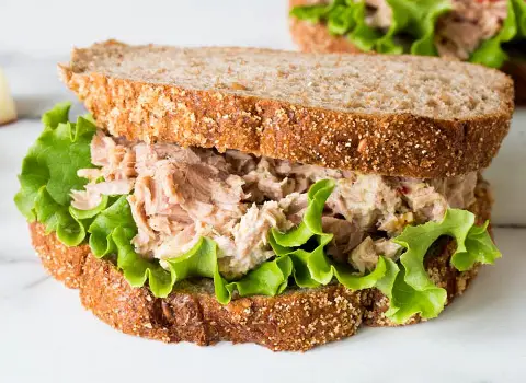 خرید و قیمت انواع تن ماهی ایرانی