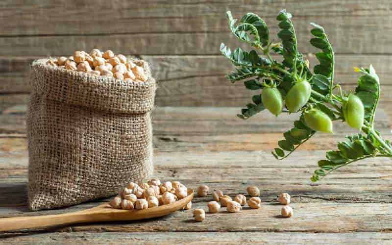 قیمت نخود در روسیه