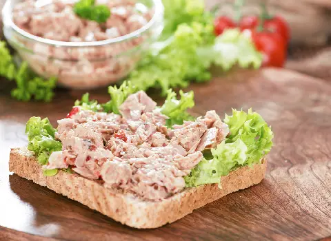 خواص تن ماهی + قیمت خرید، کاربرد، مصارف و خواص