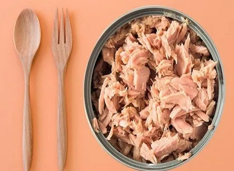 قیمت خرید کنسرو تن ماهی مکنزی + مشخصات، عمده ارزان