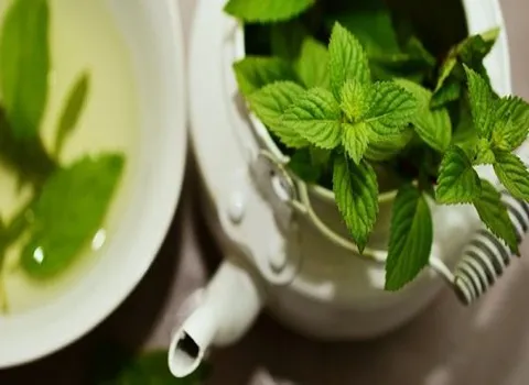 مشخصات چای نعنا خشک + قیمت خرید