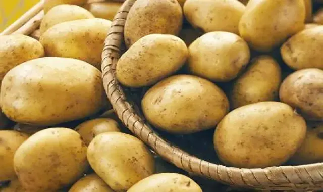 صادرات سیب زمینی؛ صادرات به عراق روسیه 1401 + قیمت جهانی