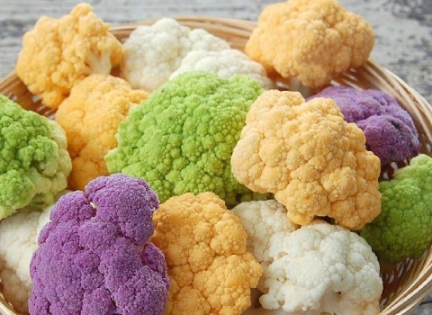 گل کلم رنگی + قیمت خرید، کاربرد، مصارف و خواص