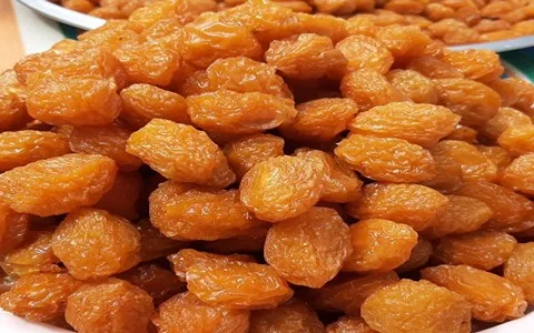 خرید بهترین انواع آلو بخارا خشک با قیمت ارزان