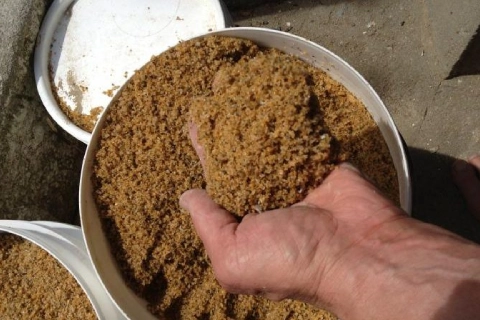 قیمت خرید پودر گوشت ماهی + عکس