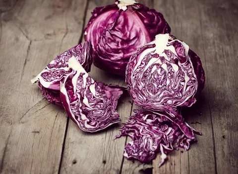 کلم قرمز ایرانی + قیمت خرید، کاربرد، مصارف و خواص