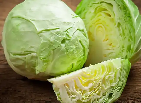 کلم سفید آلمانی + قیمت خرید، کاربرد، مصارف و خواص