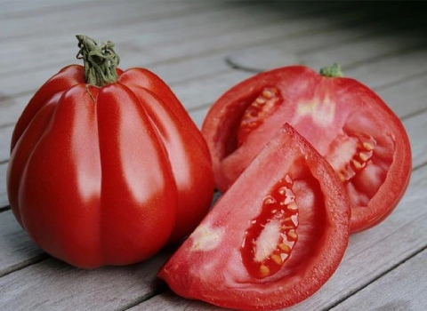 قیمت خرید گوجه فرنگی رسیده + مزایا و معایب