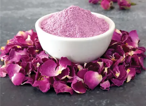 گل محمدی پودر؛ طبع گرم درمان استرس ریزش مو 2 کاربرد آرایشی دارویی