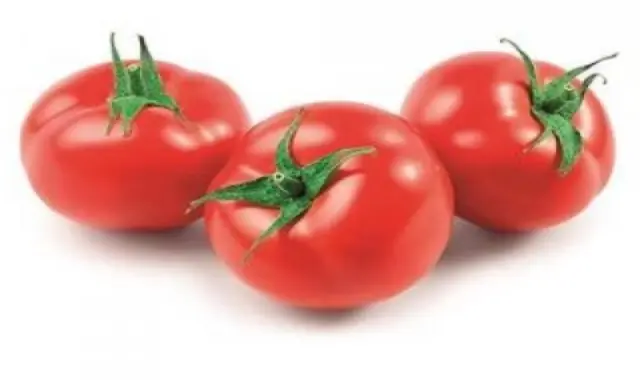 خرید بهترین انواع گوجه فرنگی گلخانه‌ای با قیمت ارزان