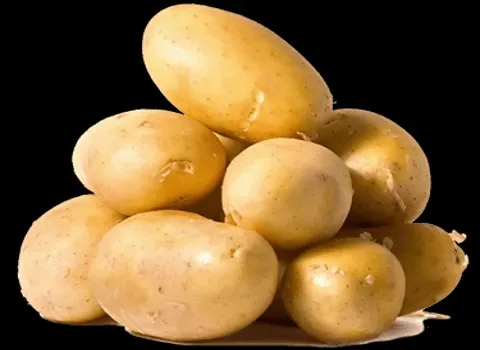 قیمت خرید سیب زمینی شیرین در ایران + خواص، معایب و مزایا